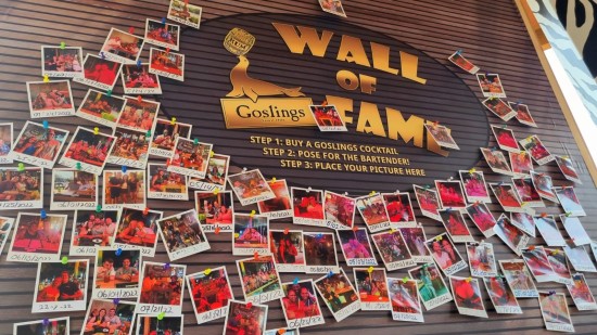 Goslings' Wall of Fame